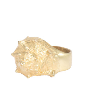 King Conch Ring