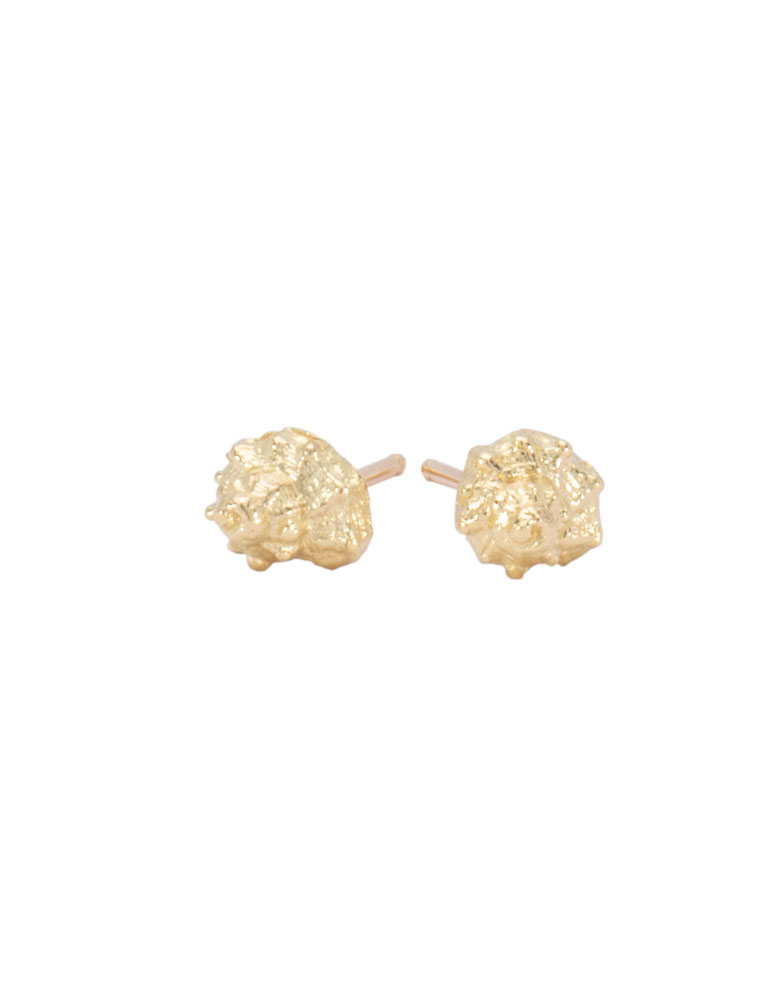 Teeny Conch Shell Studs