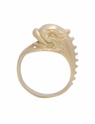 Dolphin Ring View 1