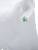 Paiute Turquoise Studs View 1