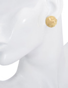 Wild Horse Earrings View 2